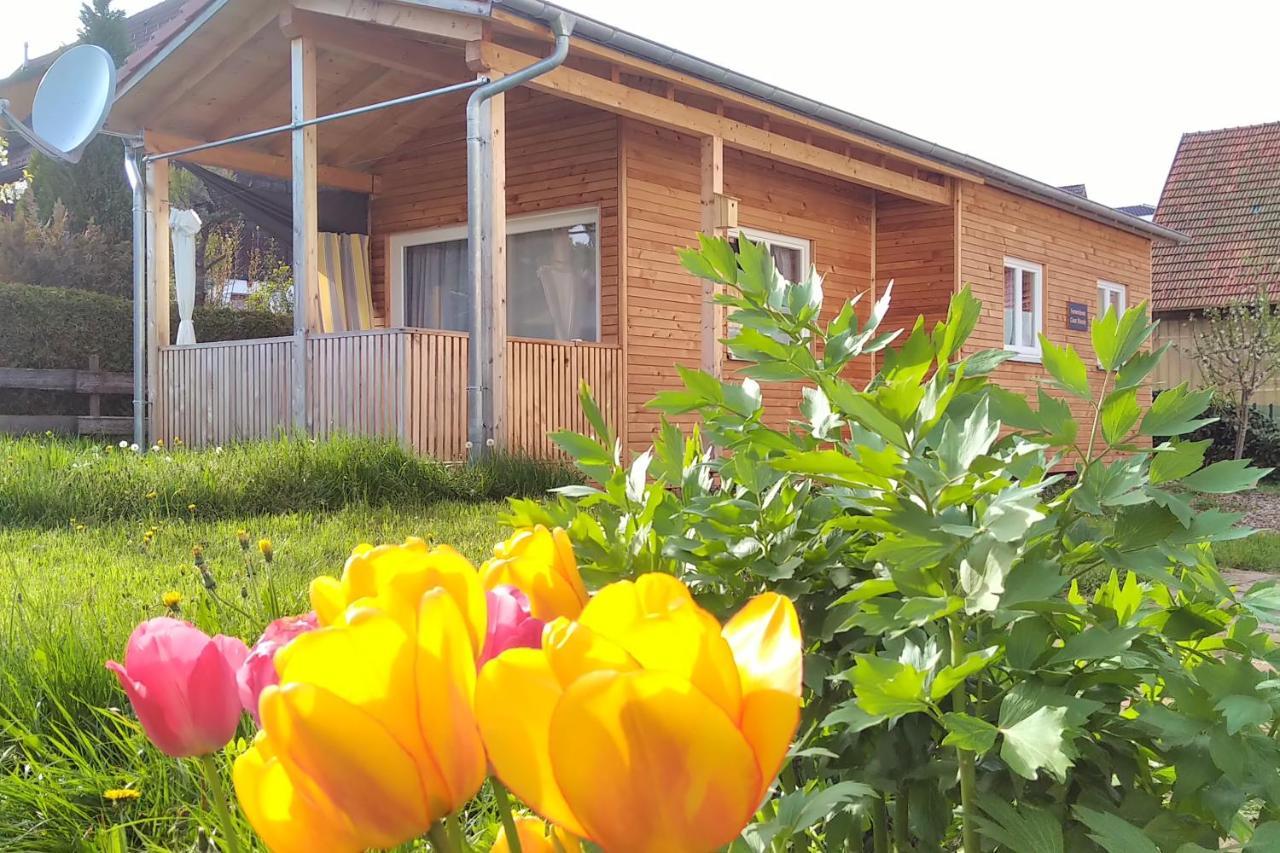 Вилла Tiny-Ferienhaeusle Casa Wendy Лосбург Экстерьер фото