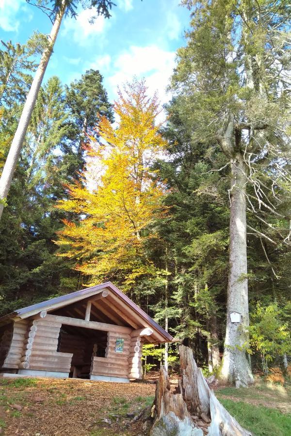 Вилла Tiny-Ferienhaeusle Casa Wendy Лосбург Экстерьер фото